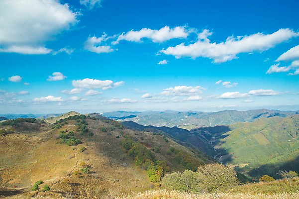 포토 JPG 주간 구름 백그라운드 자연 하늘 산 풍경 사람없음 야외 가을풍경 가을 억새 정선 민둥산 국내포토 자연요소 식물 계절 생태계 강원도 파일형식 가을_계절