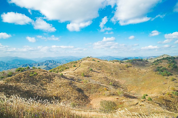 포토 JPG 주간 구름 백그라운드 자연 하늘 산 풍경 사람없음 야외 가을풍경 가을 억새 정선 민둥산 국내포토 자연요소 식물 계절 생태계 강원도 파일형식 가을_계절