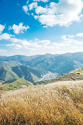 포토 JPG 주간 구름 백그라운드 자연 하늘 산 풍경 사람없음 야외 가을풍경 가을 억새 정선 민둥산 국내포토 자연요소 식물 계절 생태계 강원도 파일형식 가을_계절