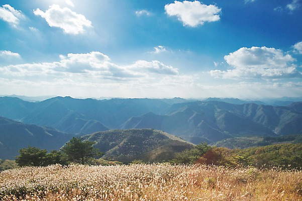 포토 JPG 주간 구름 백그라운드 자연 하늘 산 풍경 사람없음 야외 가을풍경 가을 억새 정선 민둥산 국내포토 자연요소 식물 계절 생태계 강원도 파일형식 가을_계절