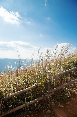 포토 JPG 주간 구름 길 백그라운드 자연 하늘 산 풍경 사람없음 야외 가을풍경 가을 억새 나무울타리 정선 민둥산 국내포토 자연요소 식물 계절 울타리 생태계 강원도 파일형식 가을_계절