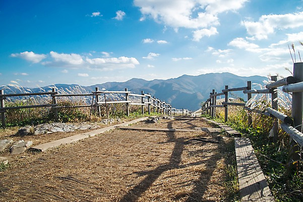 포토 JPG 주간 길 백그라운드 자연 산 풍경 사람없음 야외 가을풍경 가을 억새 나무울타리 정선 민둥산 국내포토 자연요소 식물 계절 울타리 생태계 강원도 파일형식 가을_계절