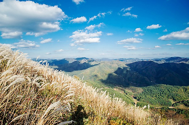 포토 JPG 주간 백그라운드 자연 산 풍경 사람없음 야외 가을풍경 가을 억새 정선 민둥산 국내포토 자연요소 식물 계절 생태계 강원도 파일형식 가을_계절