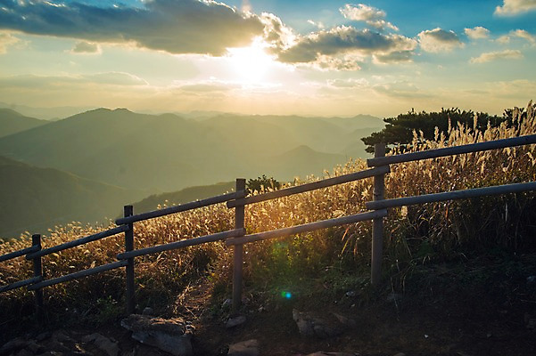 포토 JPG 주간 백그라운드 자연 산 풍경 사람없음 야외 가을풍경 가을 억새 정선 민둥산 국내포토 자연요소 식물 계절 생태계 강원도 파일형식 가을_계절