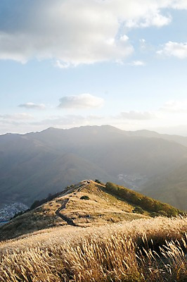 포토 JPG 주간 백그라운드 자연 산 풍경 사람없음 야외 가을풍경 가을 억새 정선 민둥산 국내포토 자연요소 식물 계절 생태계 강원도 파일형식 가을_계절