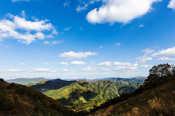 포토 JPG 주간 구름 백그라운드 자연 하늘 산 풍경 사람없음 야외 가을풍경 가을 억새 정선 민둥산 국내포토 자연요소 식물 계절 생태계 강원도 파일형식 가을_계절