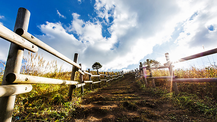 포토 JPG 주간 구름 길 백그라운드 자연 하늘 산 풍경 사람없음 야외 가을풍경 가을 억새 나무울타리 정선 민둥산 국내포토 자연요소 식물 계절 울타리 생태계 강원도 파일형식 가을_계절