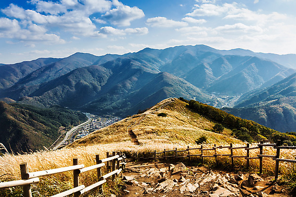 포토 JPG 주간 구름 길 백그라운드 자연 하늘 산 풍경 사람없음 야외 가을풍경 가을 억새 나무울타리 정선 민둥산 국내포토 자연요소 식물 계절 울타리 생태계 강원도 파일형식 가을_계절