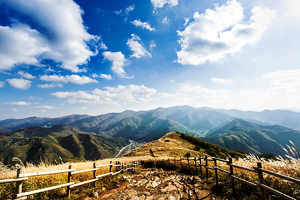포토 JPG 주간 구름 길 백그라운드 자연 하늘 산 풍경 사람없음 야외 가을풍경 가을 억새 나무울타리 정선 민둥산 국내포토 자연요소 식물 계절 울타리 생태계 강원도 파일형식 가을_계절