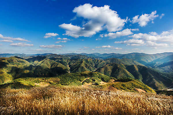 포토 JPG 주간 구름 백그라운드 자연 하늘 산 풍경 사람없음 야외 가을풍경 가을 억새 정선 민둥산 국내포토 자연요소 식물 계절 생태계 강원도 파일형식 가을_계절