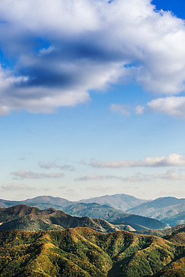 포토 JPG 주간 구름 백그라운드 자연 하늘 산 풍경 사람없음 야외 가을풍경 가을 억새 정선 민둥산 국내포토 자연요소 식물 계절 생태계 강원도 파일형식 가을_계절