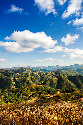 포토 JPG 주간 구름 백그라운드 자연 하늘 산 풍경 사람없음 야외 가을풍경 가을 억새 정선 민둥산 국내포토 자연요소 식물 계절 생태계 강원도 파일형식 가을_계절