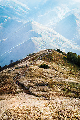 포토 JPG 주간 구름 백그라운드 자연 하늘 산 풍경 사람없음 야외 가을풍경 가을 억새 정선 민둥산 국내포토 자연요소 식물 계절 생태계 강원도 파일형식 가을_계절