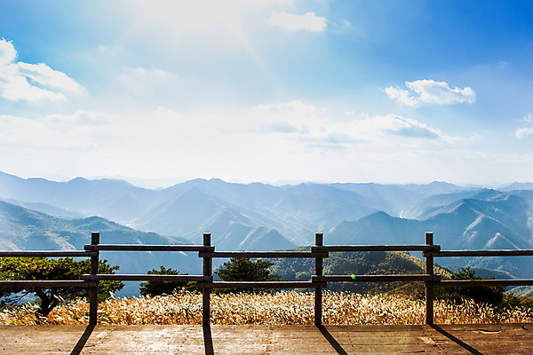 포토 JPG 주간 구름 백그라운드 자연 하늘 산 풍경 사람없음 야외 가을풍경 가을 억새 나무울타리 정선 민둥산 국내포토 자연요소 식물 계절 울타리 생태계 강원도 파일형식 가을_계절