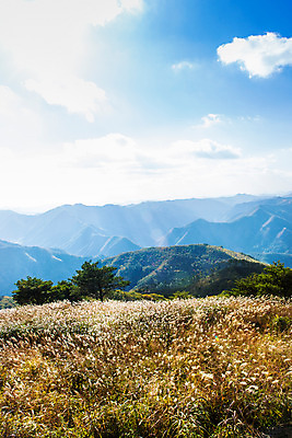 포토 JPG 주간 구름 백그라운드 자연 하늘 산 풍경 사람없음 야외 가을풍경 가을 억새 정선 민둥산 국내포토 자연요소 식물 계절 생태계 강원도 파일형식 가을_계절