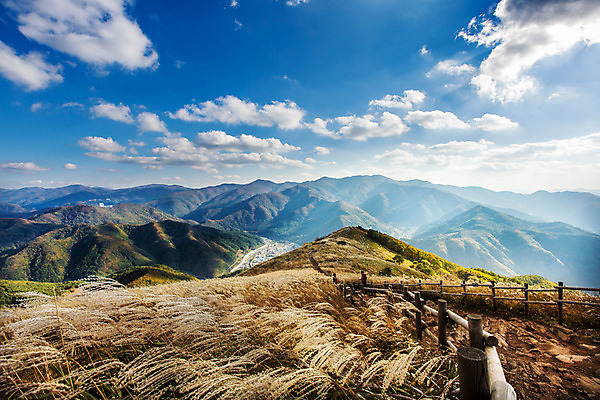 포토 JPG 주간 구름 백그라운드 자연 하늘 산 풍경 사람없음 야외 가을풍경 가을 억새 나무울타리 정선 민둥산 국내포토 자연요소 식물 계절 울타리 생태계 강원도 파일형식 가을_계절