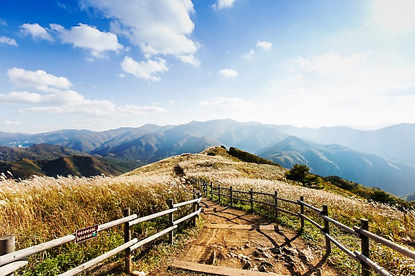 포토 JPG 주간 구름 백그라운드 자연 하늘 산 풍경 사람없음 야외 가을풍경 가을 억새 정선 민둥산 국내포토 자연요소 식물 계절 생태계 강원도 파일형식 가을_계절