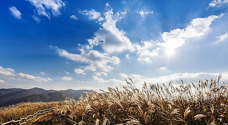 포토 JPG 주간 구름 백그라운드 자연 하늘 산 풍경 사람없음 야외 가을풍경 가을 억새 정선 민둥산 국내포토 자연요소 식물 계절 생태계 강원도 파일형식 가을_계절