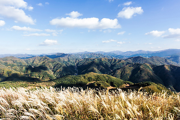 포토 JPG 주간 구름 백그라운드 자연 하늘 산 풍경 사람없음 야외 가을풍경 가을 억새 정선 민둥산 국내포토 자연요소 식물 계절 생태계 강원도 파일형식 가을_계절
