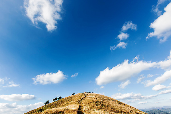 포토 JPG 주간 구름 백그라운드 자연 하늘 산 풍경 사람없음 야외 가을풍경 가을 억새 정선 민둥산 국내포토 자연요소 식물 계절 생태계 강원도 파일형식 가을_계절