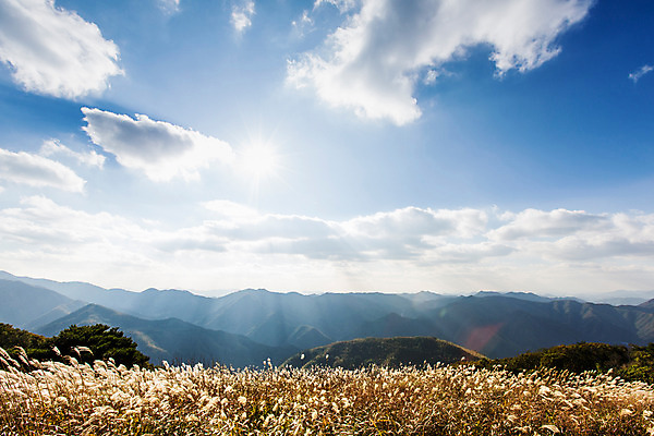 포토 JPG 주간 구름 백그라운드 자연 하늘 산 풍경 사람없음 야외 가을풍경 가을 억새 정선 민둥산 국내포토 자연요소 식물 계절 생태계 강원도 파일형식 가을_계절