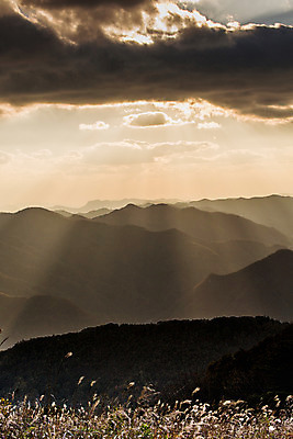 포토 JPG 주간 백그라운드 자연 산 풍경 사람없음 야외 노을 가을풍경 가을 억새 정선 민둥산 국내포토 자연요소 식물 계절 생태계 강원도 파일형식 가을_계절