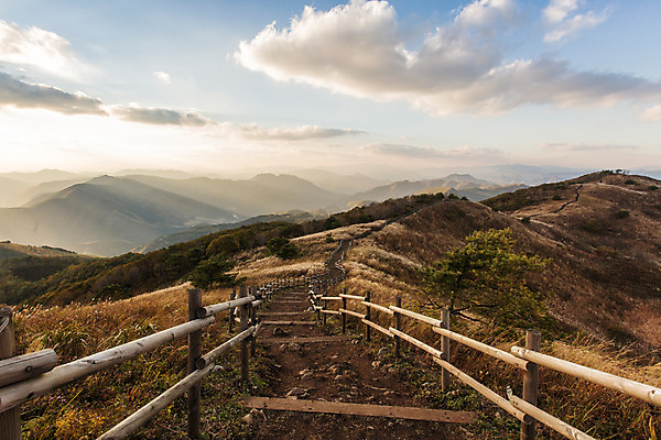 포토 JPG 주간 길 백그라운드 자연 산 풍경 사람없음 야외 가을풍경 가을 억새 나무울타리 정선 민둥산 국내포토 자연요소 식물 계절 울타리 생태계 강원도 파일형식 가을_계절