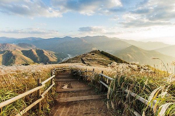 포토 JPG 주간 길 백그라운드 자연 산 풍경 사람없음 야외 가을풍경 가을 억새 나무울타리 정선 민둥산 국내포토 자연요소 식물 계절 울타리 생태계 강원도 파일형식 가을_계절