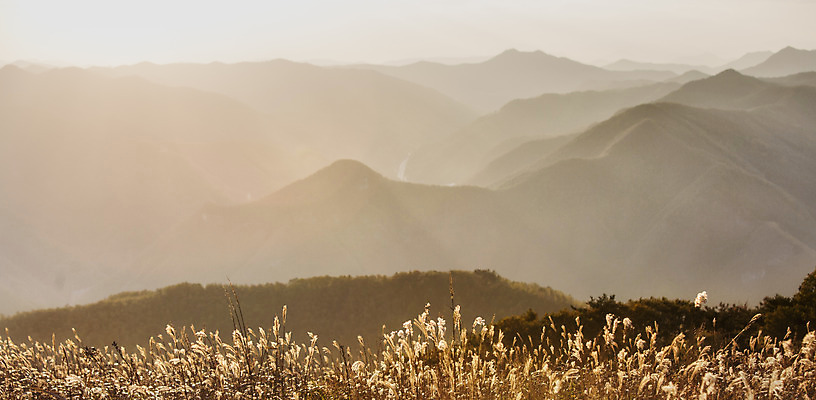 포토 JPG 주간 백그라운드 자연 산 풍경 사람없음 야외 가을풍경 가을 억새 정선 민둥산 국내포토 자연요소 식물 계절 생태계 강원도 파일형식 가을_계절