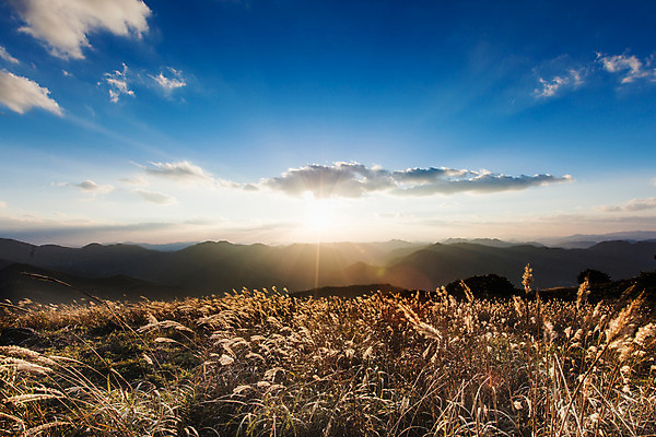 포토 JPG 주간 백그라운드 자연 산 풍경 사람없음 야외 가을풍경 가을 억새 정선 민둥산 국내포토 자연요소 식물 계절 생태계 강원도 파일형식 가을_계절