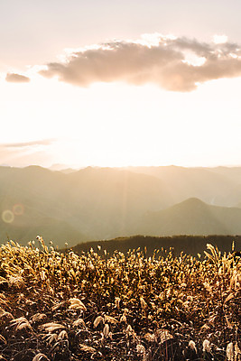 포토 JPG 주간 백그라운드 자연 산 풍경 사람없음 야외 가을풍경 가을 억새 정선 민둥산 국내포토 자연요소 식물 계절 생태계 강원도 파일형식 가을_계절