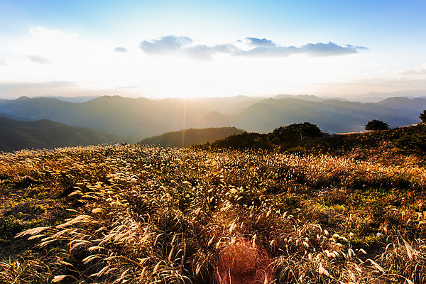 포토 JPG 주간 백그라운드 자연 산 풍경 사람없음 야외 가을풍경 가을 억새 정선 민둥산 국내포토 자연요소 식물 계절 생태계 강원도 파일형식 가을_계절