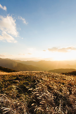 포토 JPG 주간 백그라운드 자연 산 풍경 사람없음 야외 가을풍경 가을 억새 정선 민둥산 국내포토 자연요소 식물 계절 생태계 강원도 파일형식 가을_계절