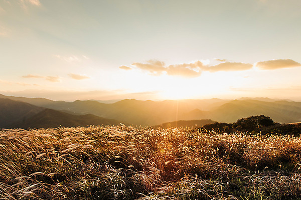포토 JPG 주간 백그라운드 자연 산 풍경 사람없음 야외 가을풍경 가을 억새 정선 민둥산 국내포토 자연요소 식물 계절 생태계 강원도 파일형식 가을_계절