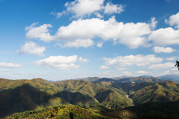 포토 JPG 주간 백그라운드 자연 산 풍경 사람없음 야외 가을풍경 가을 억새 정선 민둥산 국내포토 자연요소 식물 계절 생태계 강원도 파일형식 가을_계절