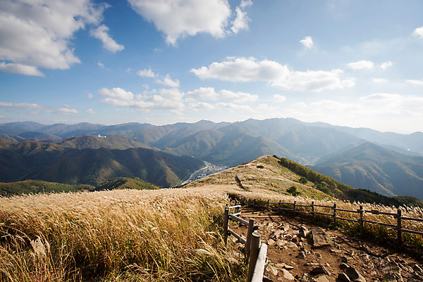포토 JPG 주간 백그라운드 자연 산 풍경 사람없음 야외 가을풍경 가을 억새 정선 민둥산 국내포토 자연요소 식물 계절 생태계 강원도 파일형식 가을_계절