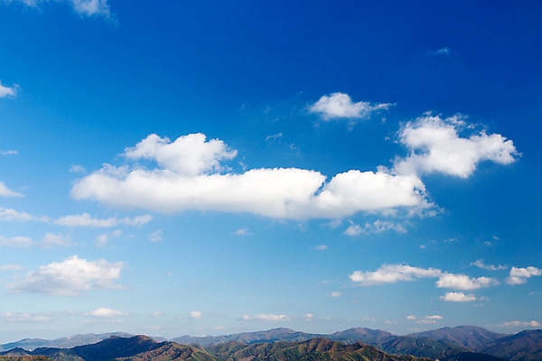 포토 JPG 주간 구름 백그라운드 자연 하늘 산 풍경 사람없음 야외 가을풍경 가을 억새 정선 민둥산 국내포토 자연요소 식물 계절 생태계 강원도 파일형식 가을_계절