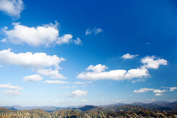 포토 JPG 주간 구름 백그라운드 자연 하늘 산 풍경 사람없음 야외 가을풍경 가을 억새 정선 민둥산 국내포토 자연요소 식물 계절 생태계 강원도 파일형식 가을_계절