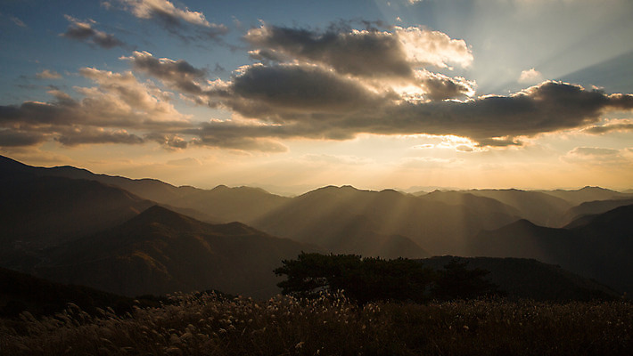 포토 JPG 주간 구름 백그라운드 자연 하늘 산 풍경 사람없음 야외 가을풍경 가을 억새 정선 민둥산 국내포토 자연요소 식물 계절 생태계 강원도 파일형식 가을_계절