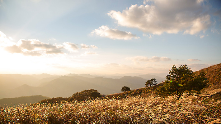 포토 JPG 주간 백그라운드 자연 산 풍경 사람없음 야외 가을풍경 가을 억새 정선 민둥산 국내포토 자연요소 식물 계절 생태계 강원도 파일형식 가을_계절
