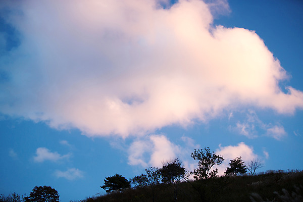 포토 JPG 주간 구름 백그라운드 자연 하늘 산 풍경 사람없음 야외 가을풍경 가을 억새 정선 민둥산 국내포토 자연요소 식물 계절 생태계 강원도 파일형식 가을_계절