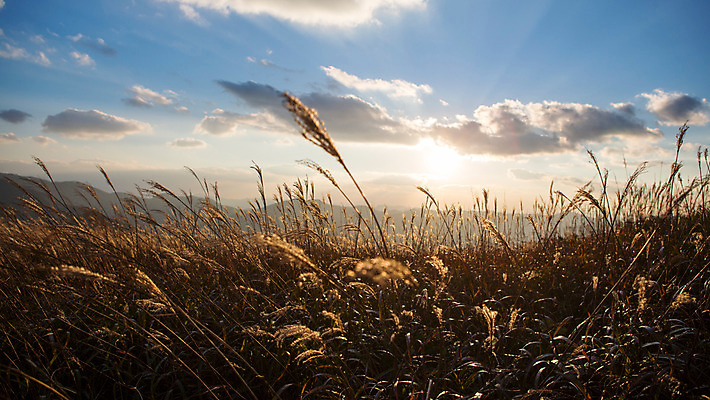 포토 JPG 주간 구름 백그라운드 자연 하늘 산 풍경 사람없음 야외 가을풍경 가을 억새 정선 민둥산 국내포토 자연요소 식물 계절 생태계 강원도 파일형식 가을_계절