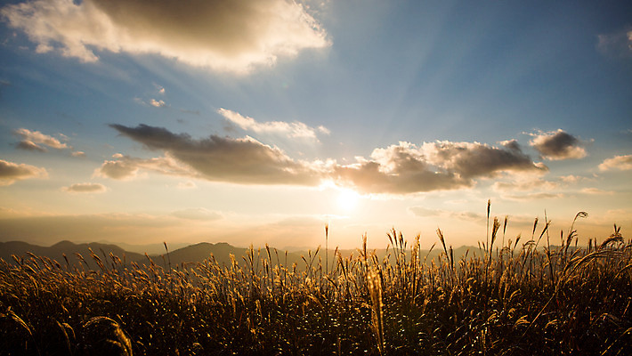 포토 JPG 주간 구름 백그라운드 자연 하늘 산 풍경 사람없음 야외 노을 가을풍경 가을 억새 정선 민둥산 국내포토 자연요소 식물 계절 생태계 강원도 파일형식 가을_계절