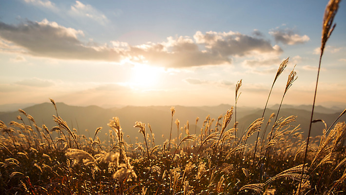 포토 JPG 주간 구름 백그라운드 자연 하늘 산 풍경 사람없음 야외 노을 가을풍경 가을 억새 정선 민둥산 국내포토 자연요소 식물 계절 생태계 강원도 파일형식 가을_계절