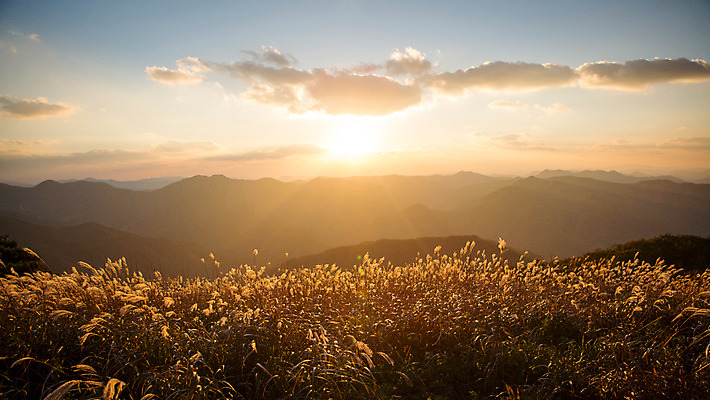 포토 JPG 주간 구름 백그라운드 자연 하늘 산 풍경 사람없음 야외 노을 가을풍경 가을 억새 정선 민둥산 국내포토 자연요소 식물 계절 생태계 강원도 파일형식 가을_계절