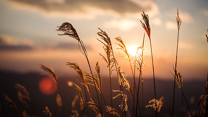 포토 JPG 주간 구름 백그라운드 자연 하늘 산 풍경 사람없음 야외 노을 가을풍경 가을 억새 정선 민둥산 국내포토 자연요소 식물 계절 생태계 강원도 파일형식 가을_계절