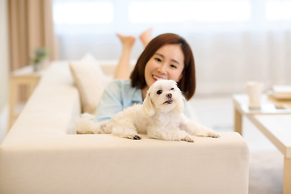 포토 JPG 스튜디오촬영 전신 한마리 우먼라이프 여자 반려견 여유 엎드리기 휴식 실내 한명 미소 성인 앞모습 30대 소파 한국인 강아지 반려 안식처 여자만 성인여자한명만 펫팸족 국내포토 1 라이프스타일 감정 뷰포인트 컨셉 의자 모션 표정 사람 동양인 내부 장년 반려동물 개 신조어 여자한명만 성인여자만 파일형식