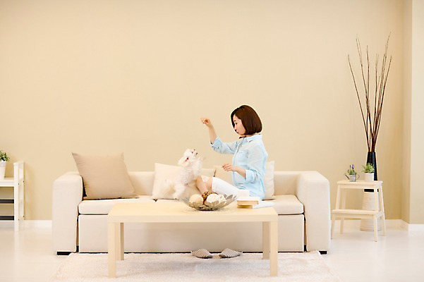 포토 JPG 스튜디오촬영 전신 한마리 우먼라이프 여자 반려견 여유 놀이 휴식 실내 한명 앉기 성인 옆모습 30대 소파 한국인 강아지 반려 여자만 성인여자한명만 펫팸족 국내포토 1 라이프스타일 감정 뷰포인트 컨셉 의자 모션 사람 동양인 내부 장년 반려동물 개 신조어 여자한명만 성인여자만 파일형식