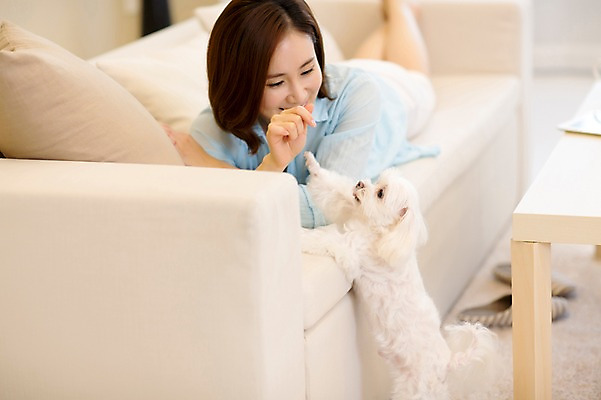 포토 JPG 스튜디오촬영 전신 한마리 우먼라이프 여자 반려견 여유 엎드리기 놀이 휴식 실내 한명 성인 앞모습 30대 소파 한국인 강아지 반려 여자만 성인여자한명만 펫팸족 국내포토 1 라이프스타일 감정 뷰포인트 컨셉 의자 모션 사람 동양인 내부 장년 반려동물 개 신조어 여자한명만 성인여자만 파일형식