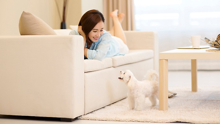 포토 JPG 스튜디오촬영 전신 한마리 우먼라이프 여자 반려견 여유 엎드리기 놀이 휴식 실내 한명 미소 성인 앞모습 30대 소파 한국인 강아지 반려 여자만 성인여자한명만 펫팸족 국내포토 1 라이프스타일 감정 뷰포인트 컨셉 의자 모션 표정 사람 동양인 내부 장년 반려동물 개 신조어 여자한명만 성인여자만 파일형식